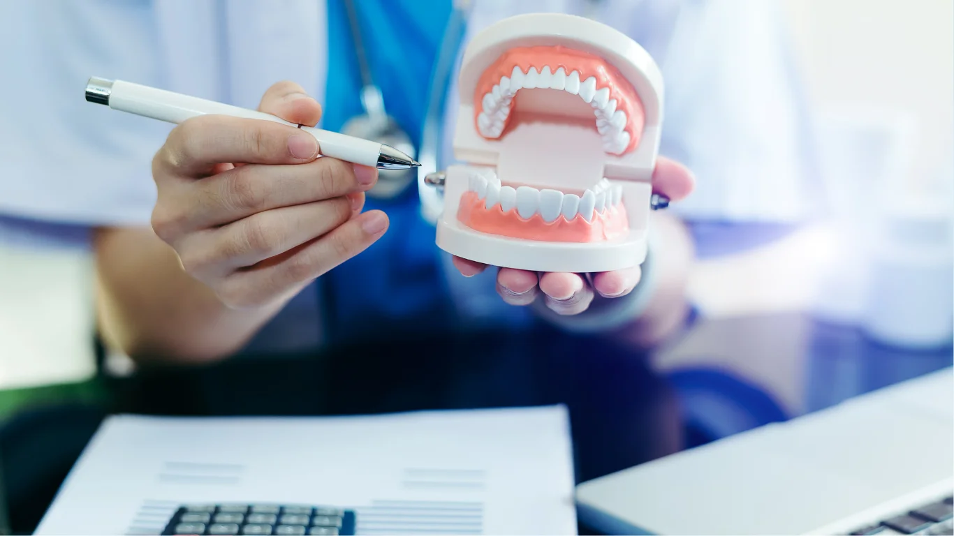 Dentist holding a teeth model and pen, explaining dental anatomy at a desk